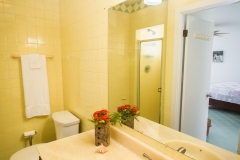 img-011-4996