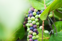 img-015-5013